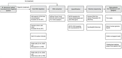 Host DNA depletion can increase the sensitivity of Mycobacterium spp. detection through shotgun metagenomics in sputum